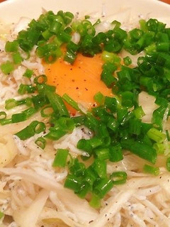 ネギ塩じゃこ丼-レシピのメイン写真