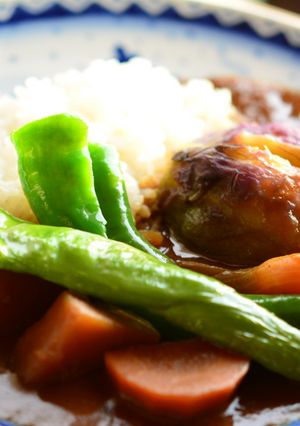 賀茂なすと万願寺とうがらしのカレー-レシピのメイン写真