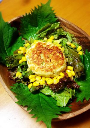 ゴーヤ豆腐バーク塩レモンアボカドサラダ-レシピのメイン写真