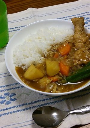 スープカレー的カレー？-レシピのメイン写真