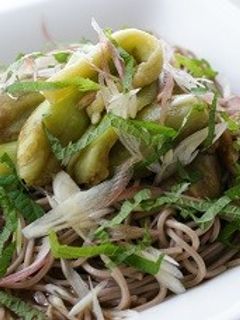 茄子の煮びたし風そば-レシピのメイン写真