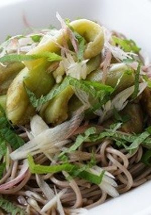 茄子の煮びたし風そば-レシピのメイン写真