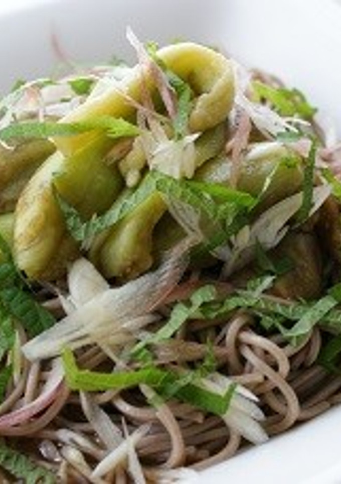 茄子の煮びたし風そば-レシピのメイン写真