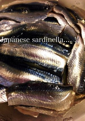 さっぱの酢漬け☆らっきょう酢使用-レシピのメイン写真