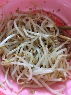 5分で出来る!もやしのナムル-レシピのメイン写真