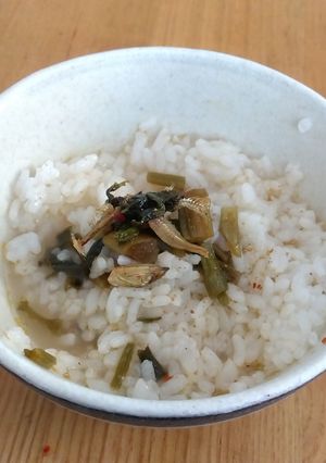 朝ごはんに！作るも食べるも速い高菜茶漬け-レシピのメイン写真