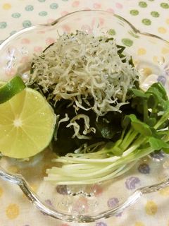 我が家の定番~ワカメちりめん♪-レシピのメイン写真