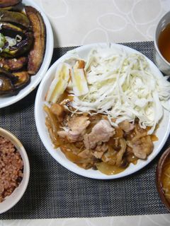 鶏もも肉の照り焼き~タマネギ添え~-レシピのメイン写真