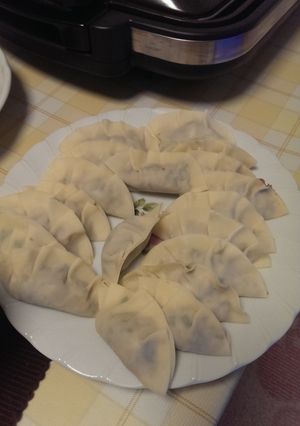 手作り餃子-レシピのメイン写真