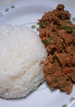 おからで作るドライカレー-レシピのメイン写真