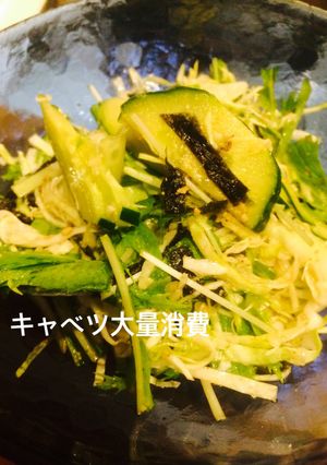 キャベツを叙々苑風♪に大量消費-レシピのメイン写真