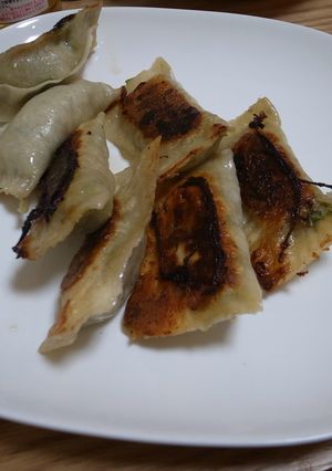 ヌードルメーカー(NM)で餃子の皮-レシピのメイン写真