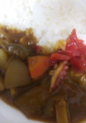 たことなすのカレー-レシピのメイン写真
