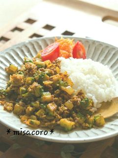 mゴーヤのドライカレー(キーマカレー)-レシピのメイン写真