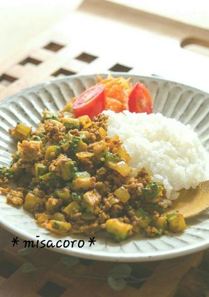 mゴーヤのドライカレー(キーマカレー)-レシピのメイン写真