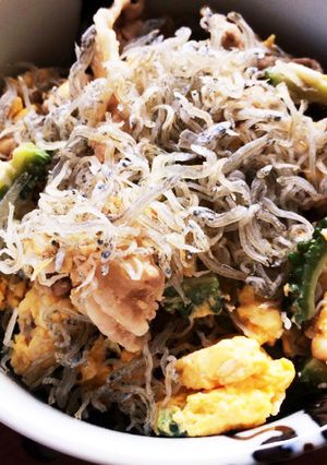 ゴーヤとちりめんじゃこの合わせ丼ぶり-レシピのメイン写真