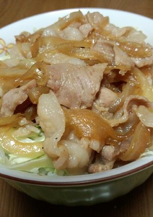 簡単豚丼-レシピのメイン写真