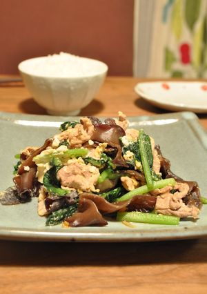 豚肉ときくらげの中華炒め-レシピのメイン写真
