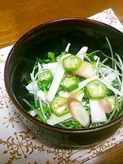 長いもとオクラのネバネバ♪ヘルシーサラダ-レシピのメイン写真