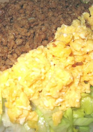 大人のそぼろご飯-レシピのメイン写真