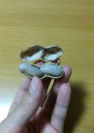 簡単 落花生のむき方-レシピのメイン写真
