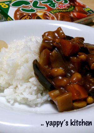 産直野菜いっぱいのカレーライス♬-レシピのメイン写真