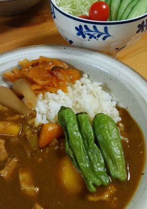 圧力鍋で夏にぴったりシシトウカレー！！-レシピのメイン写真