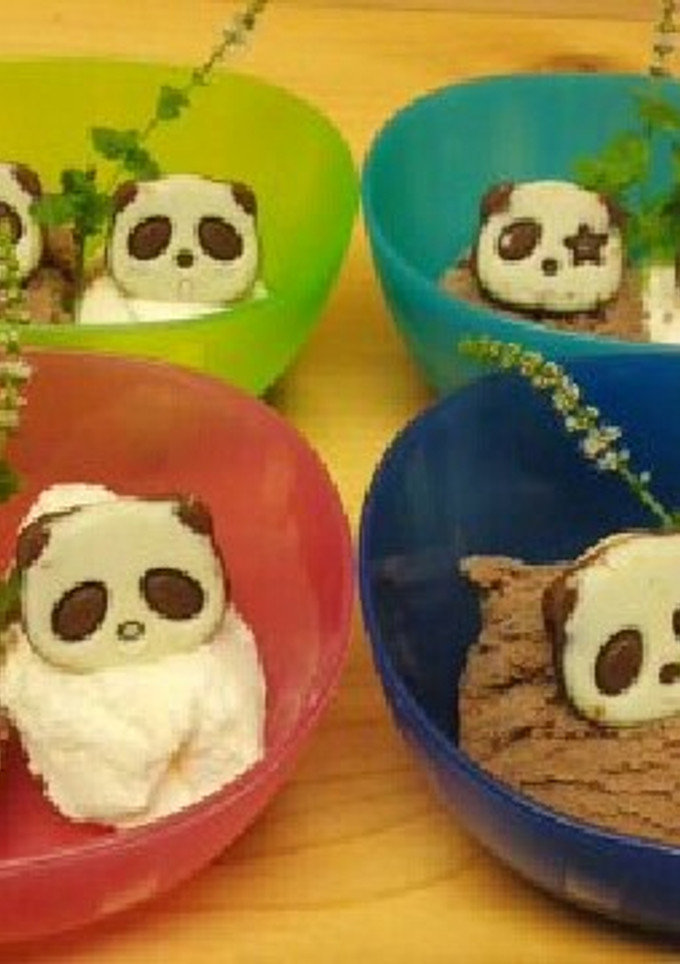 さくさくぱんだで簡単チョコパフェ-レシピのメイン写真