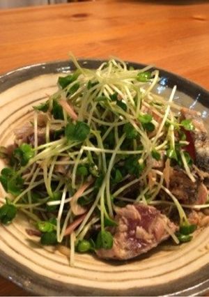 カツオのタタキ カイワレサラダ-レシピのメイン写真