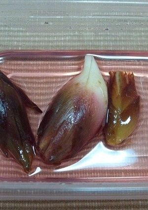 レンジでチンだけ、簡単ミョウガの甘酢漬け-レシピのメイン写真