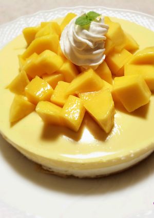 マンゴのレアチーズケーキ-レシピのメイン写真