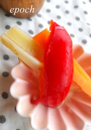 梅シロップピクルス-レシピのメイン写真