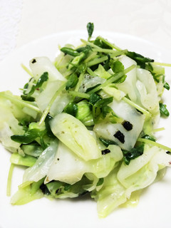 豆苗とキャベツのナムル風サラダ-レシピのメイン写真