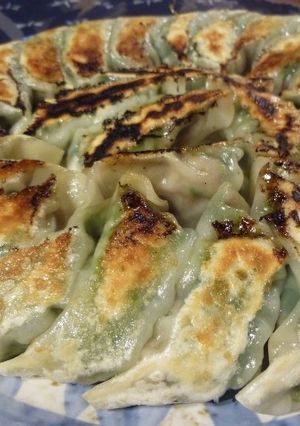青シソ餃子-レシピのメイン写真
