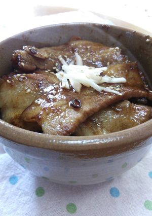 市販のタレで焼き肉どんぶり♪-レシピのメイン写真