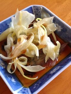 ミョウガの花deサラダ-レシピのメイン写真