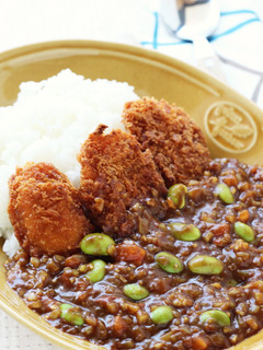 甘じょっぱ❤新潟「たれカツ」カレー-レシピのメイン写真