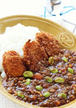 甘じょっぱ❤新潟「たれカツ」カレー-レシピのメイン写真