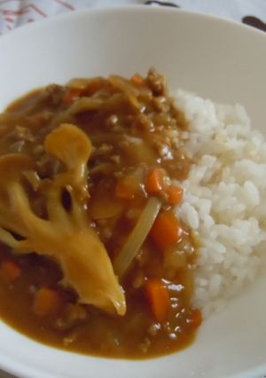 ヘルシー舞茸と挽肉のカレー-レシピのメイン写真