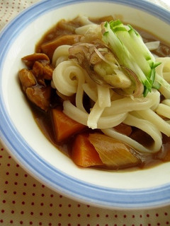 ぶっかけカレーうどん-レシピのメイン写真