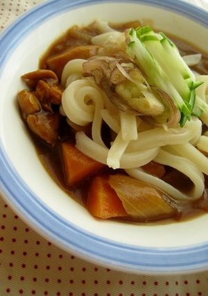 ぶっかけカレーうどん-レシピのメイン写真