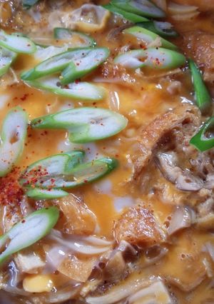 ふんわり♡玉ねぎと油揚げの卵とじ丼-レシピのメイン写真