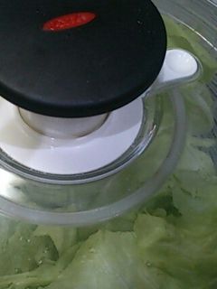 キャベツをオクソーで保存-レシピのメイン写真