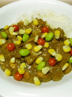 北海道夏の菜園彩りカレー-レシピのメイン写真