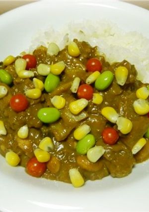 北海道夏の菜園彩りカレー-レシピのメイン写真