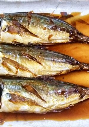 鰺の梅干煮-レシピのメイン写真