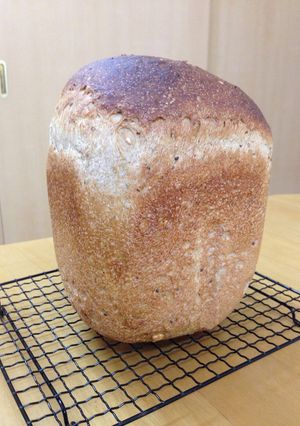 HB＋オーブンでふわふわ自家製酵母食パン-レシピのメイン写真