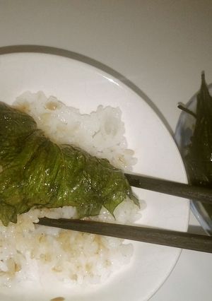 大葉のニンニク醤油漬け　大量Ver-レシピのメイン写真