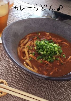残ったカレーで♪本格派のカレーうどん-レシピのメイン写真