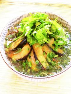 ☺夏はひんやり☆簡単♪冷やし茄子そば☺-レシピのメイン写真